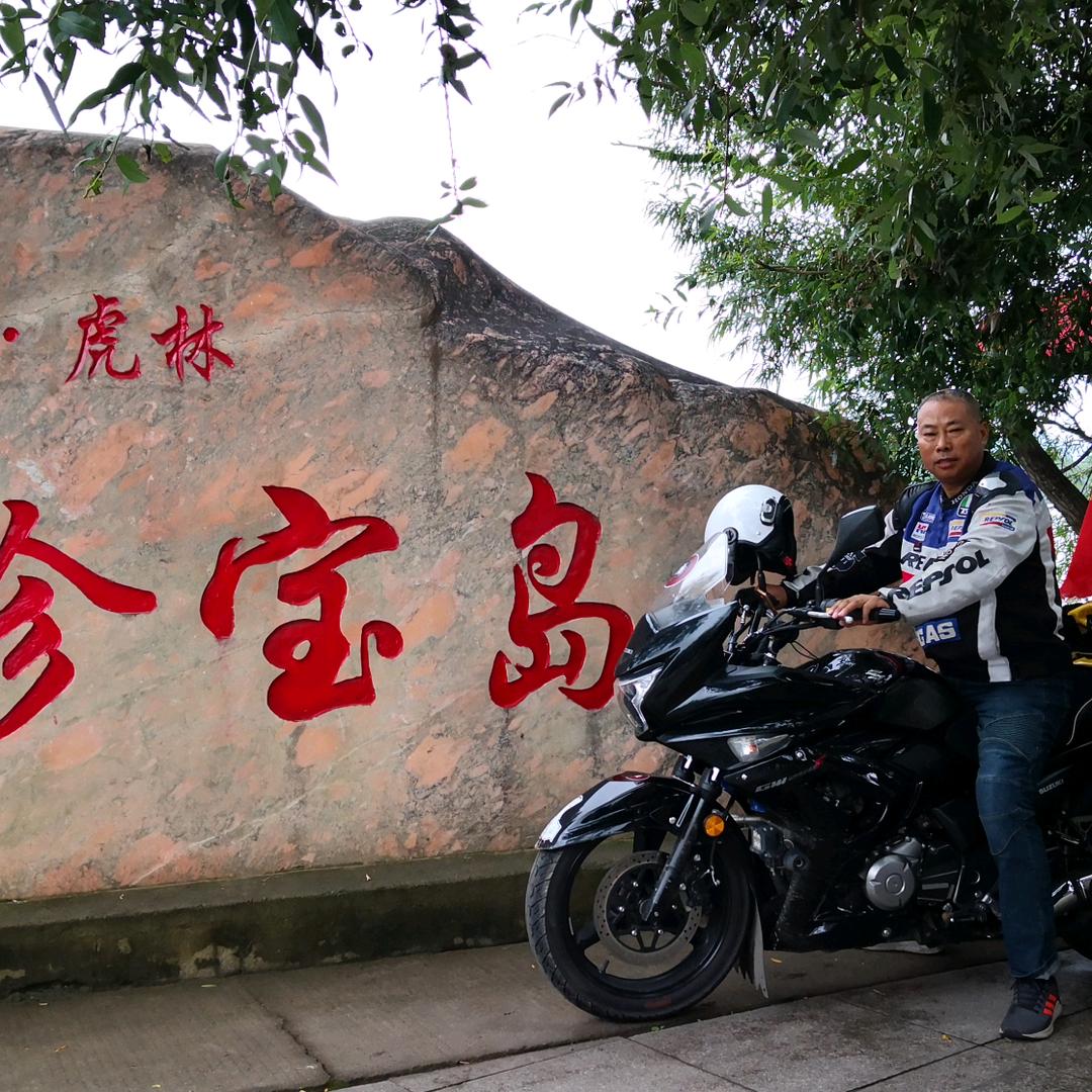 鲍
