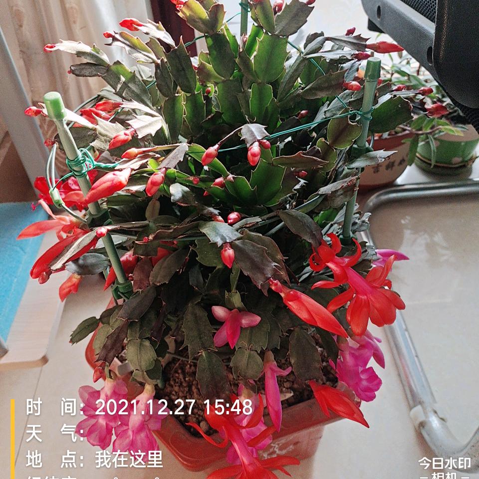一路上有你