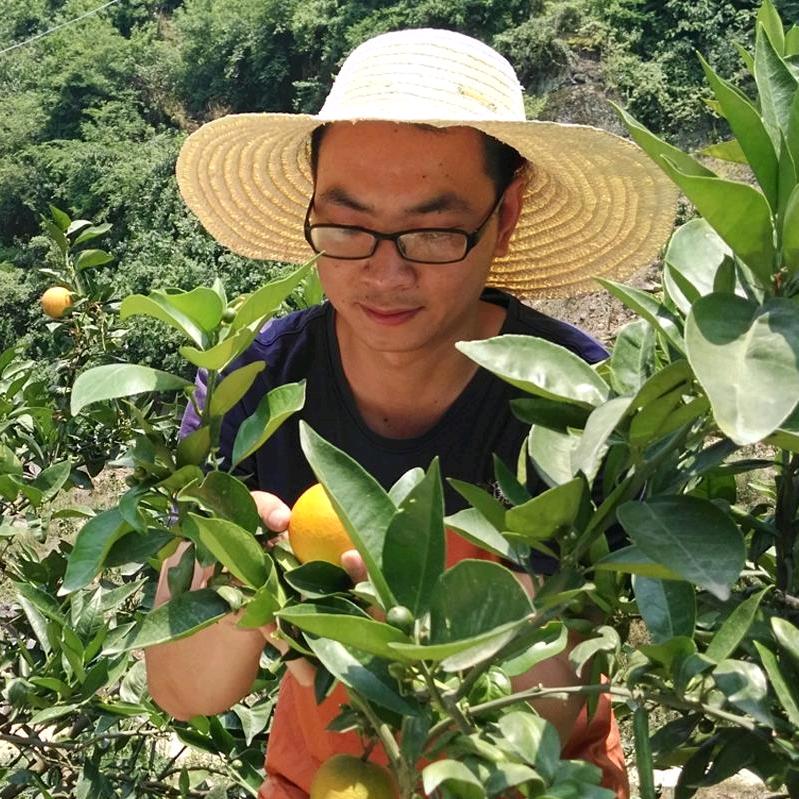 楚川优选
