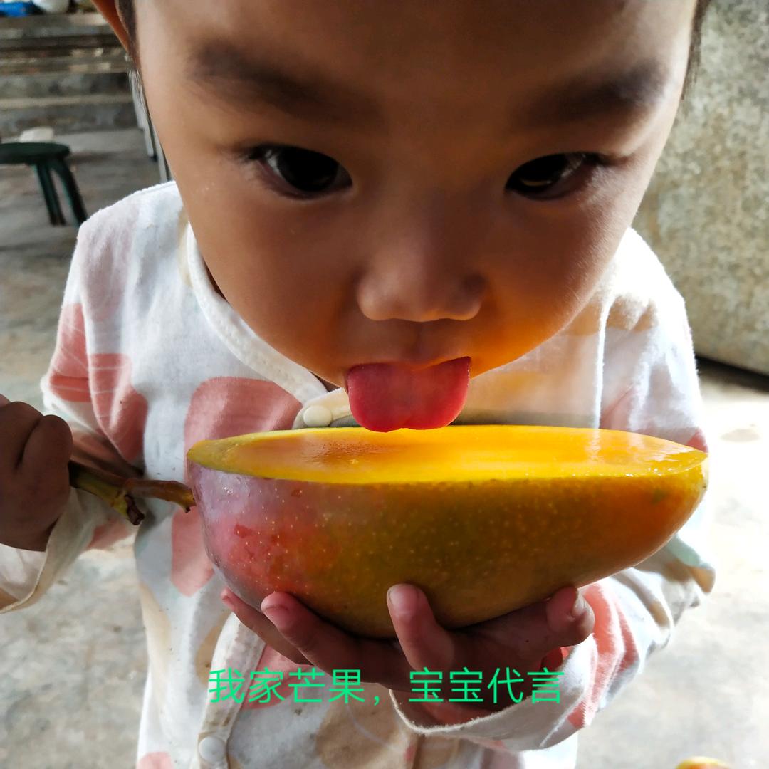 丽江华坪芒果宝宝