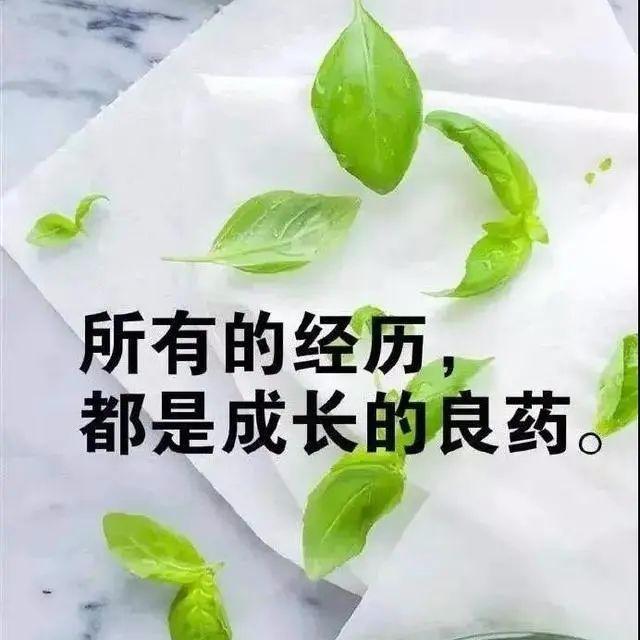 白云飘飘