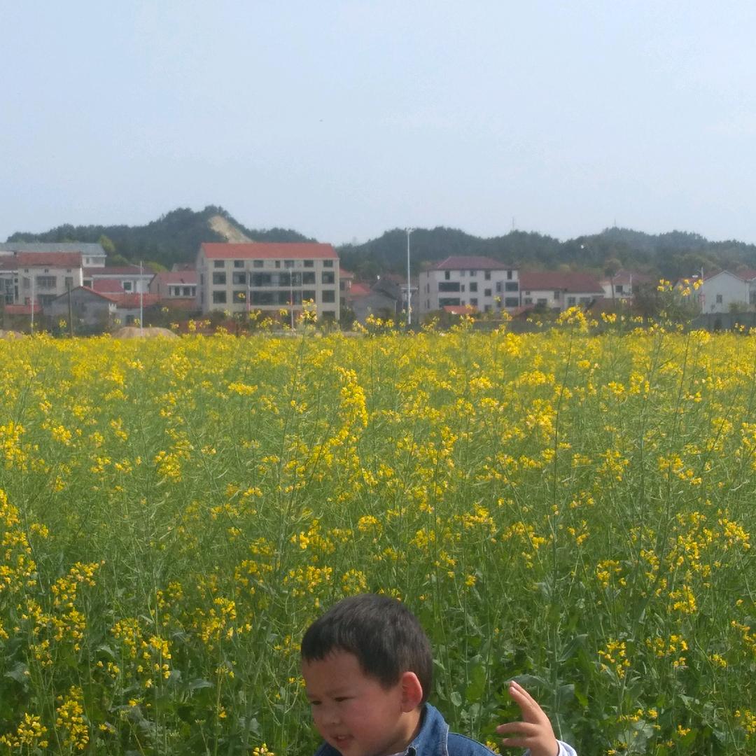 老彭999
