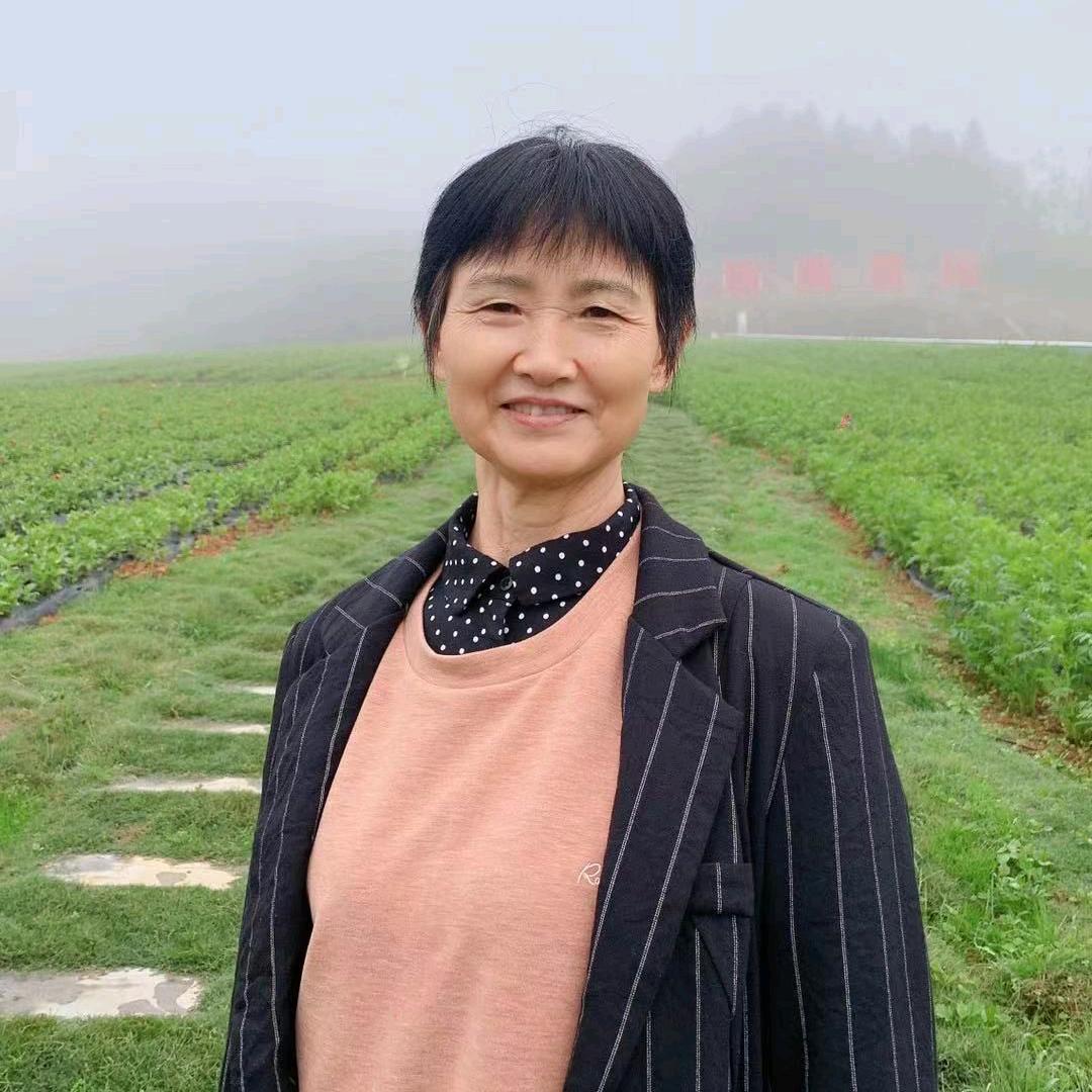 五零后文远香