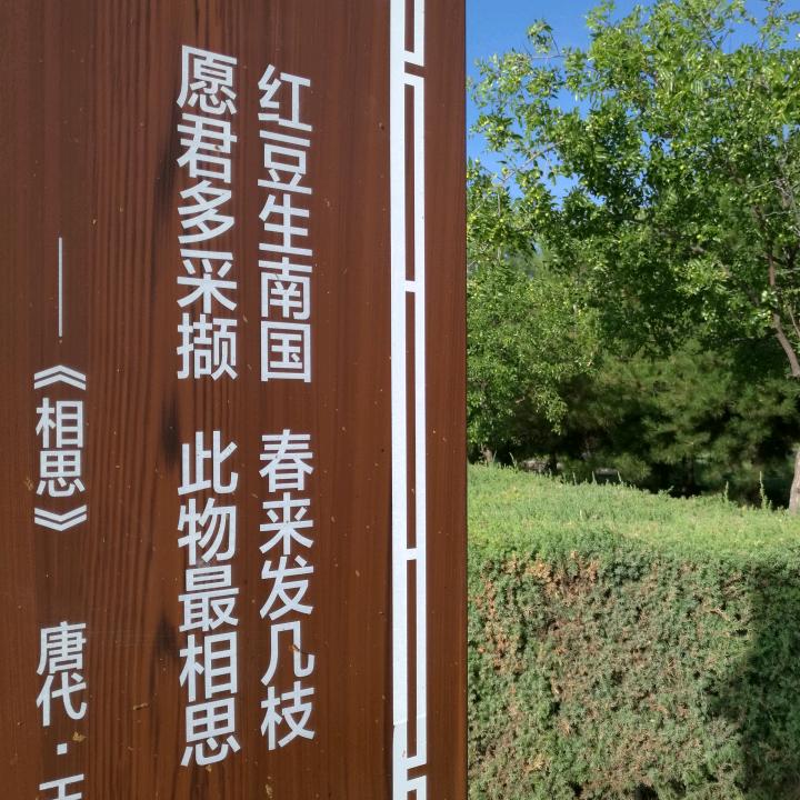 诚诚和孝孝的