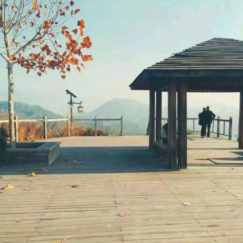 浙c