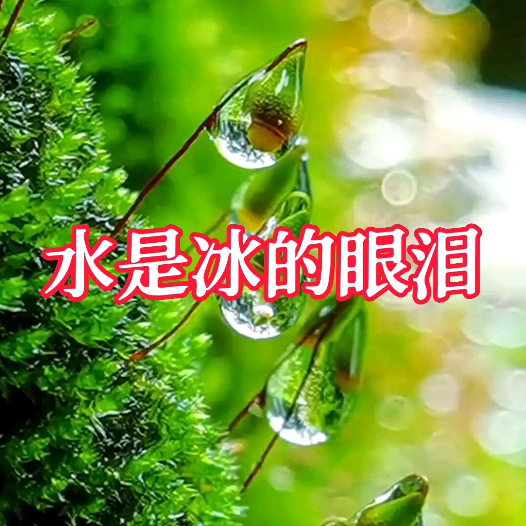 水是冰的眼泪sgh731