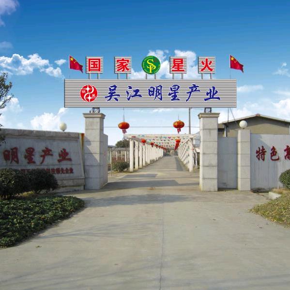 姑苏明星水蛭