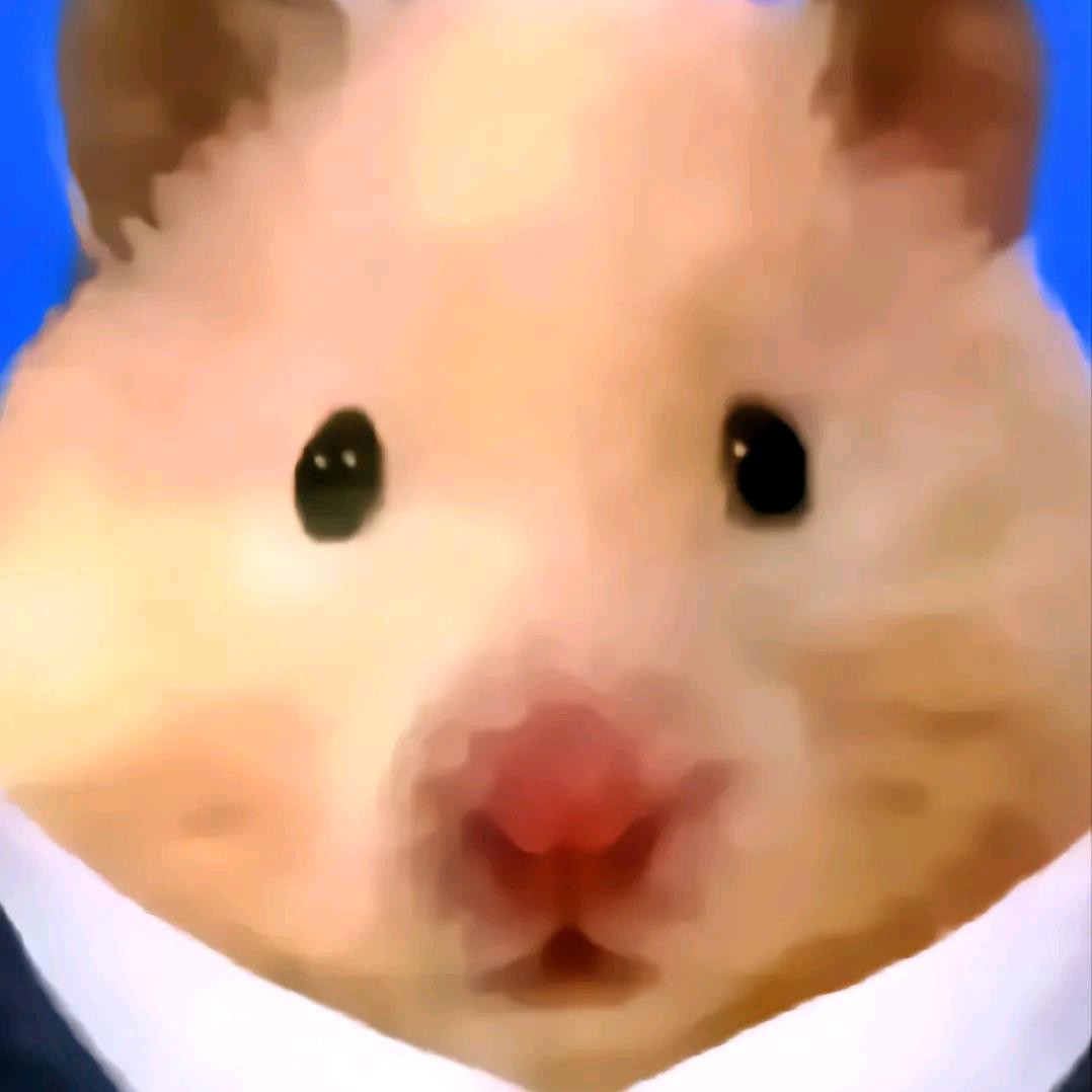 鼠鼠我啊