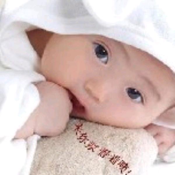 🌾昭羽【麦家班】