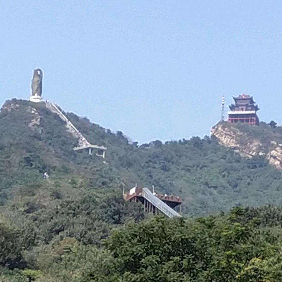 罗歌歌