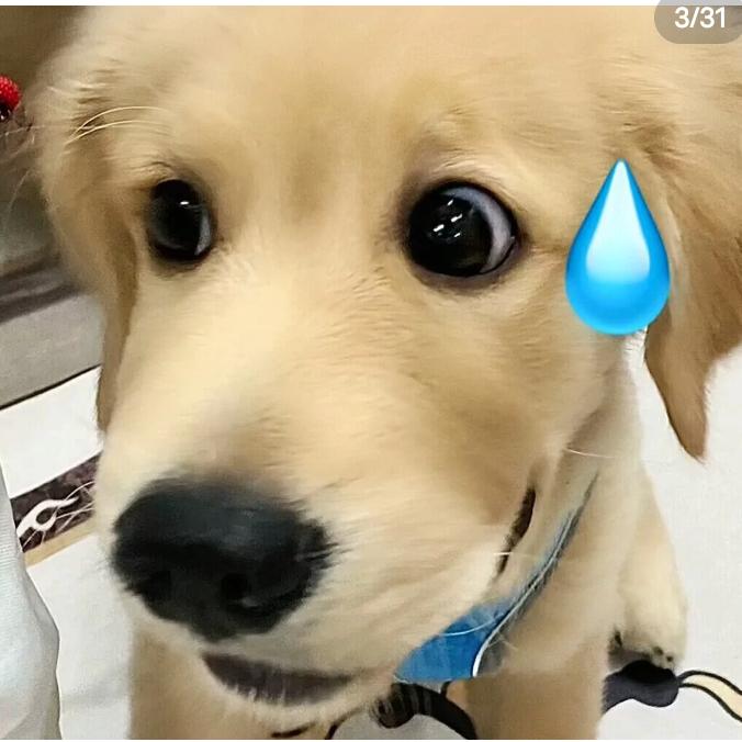 米乐驾到通通闪开