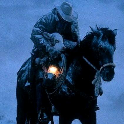 风雪夜归人