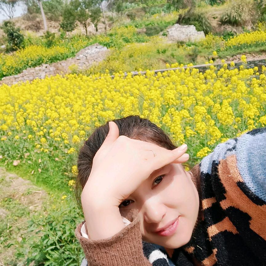 燕《一切都是靠自己》不定时开播