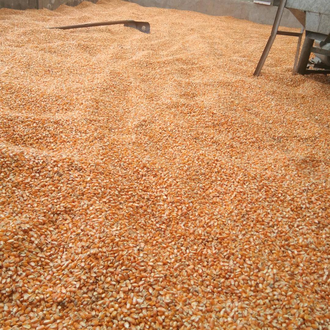 失去了约定小李