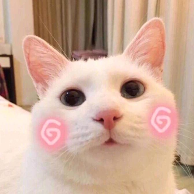 萌宠收纳所