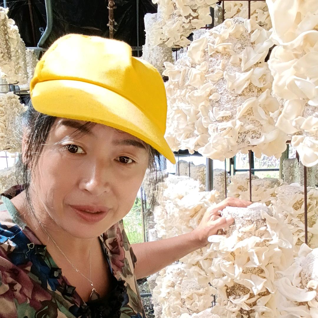 遨游(木耳姐)土特产