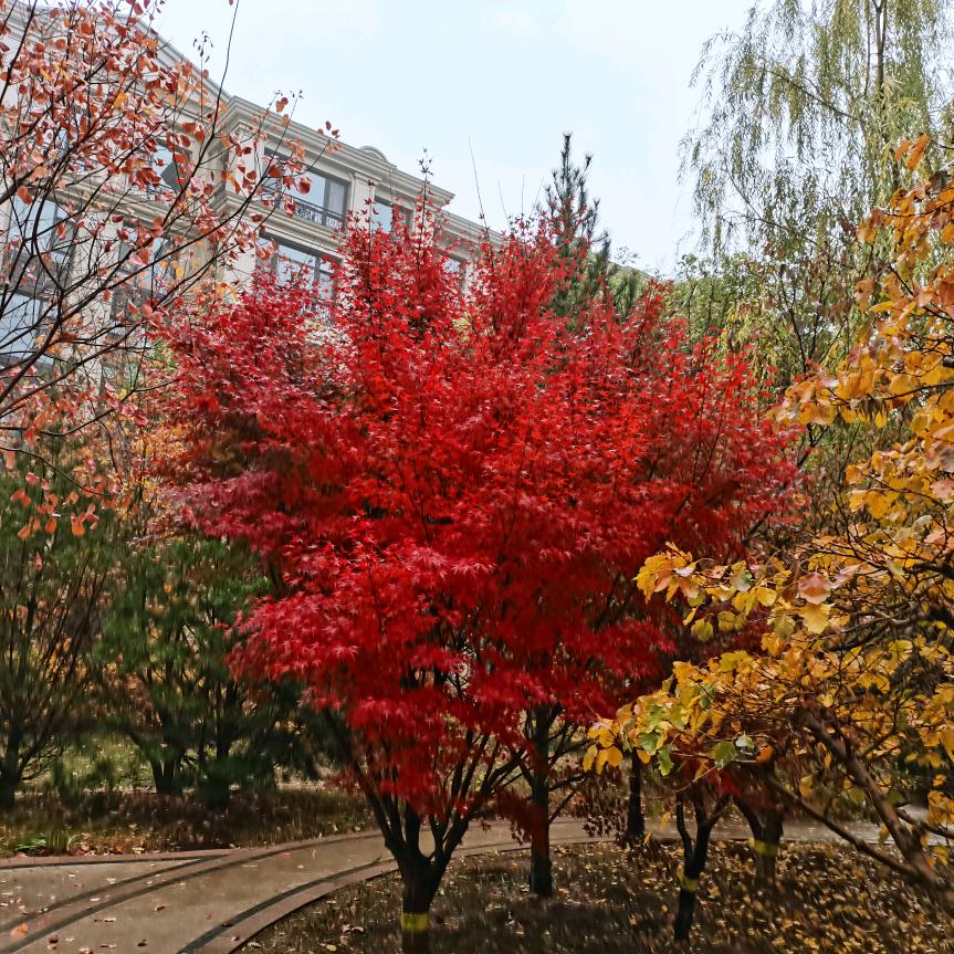 孙乐兮和奶奶。