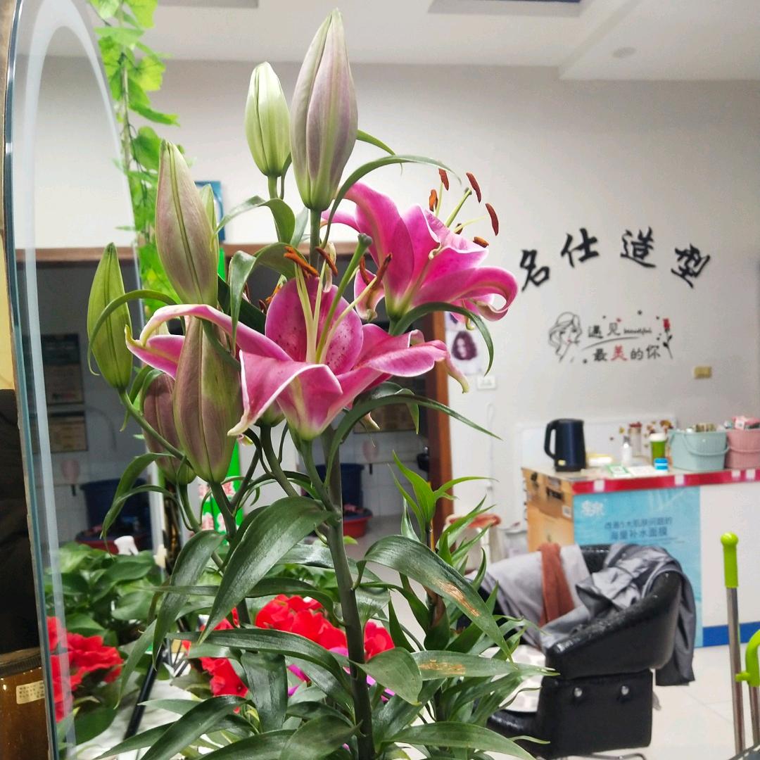 饶阳名仕造型^O^