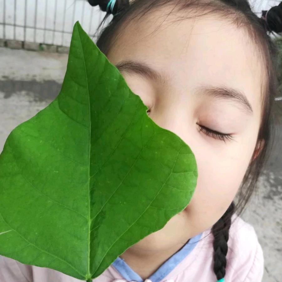 藏王花家具手机用户587473663