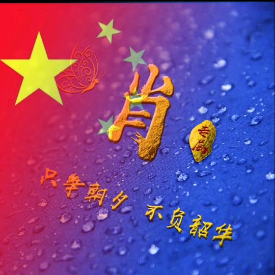 温州专业室内外拆除（肖工）