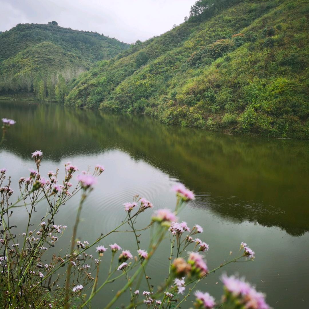 薇薇一笑（拒私聊）