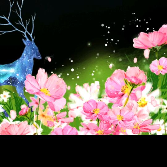 郭萍