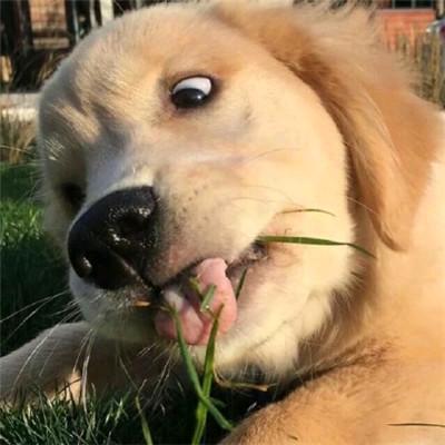 阿拉斯加的山巅
