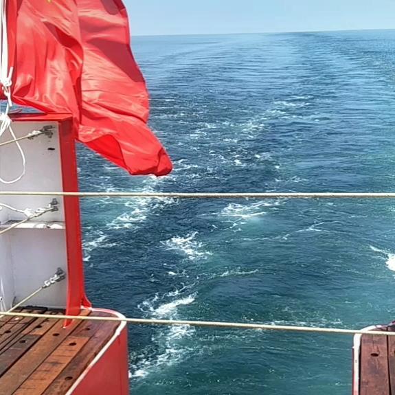 (老丁)穷光蛋的打工人!