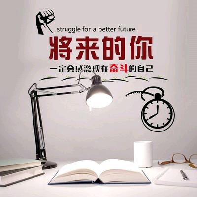 邢老师的升学规划