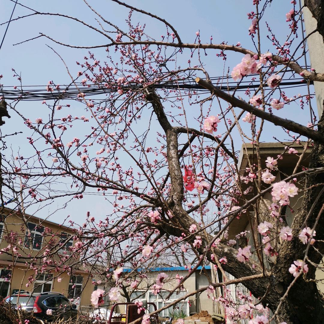 升鸣之合