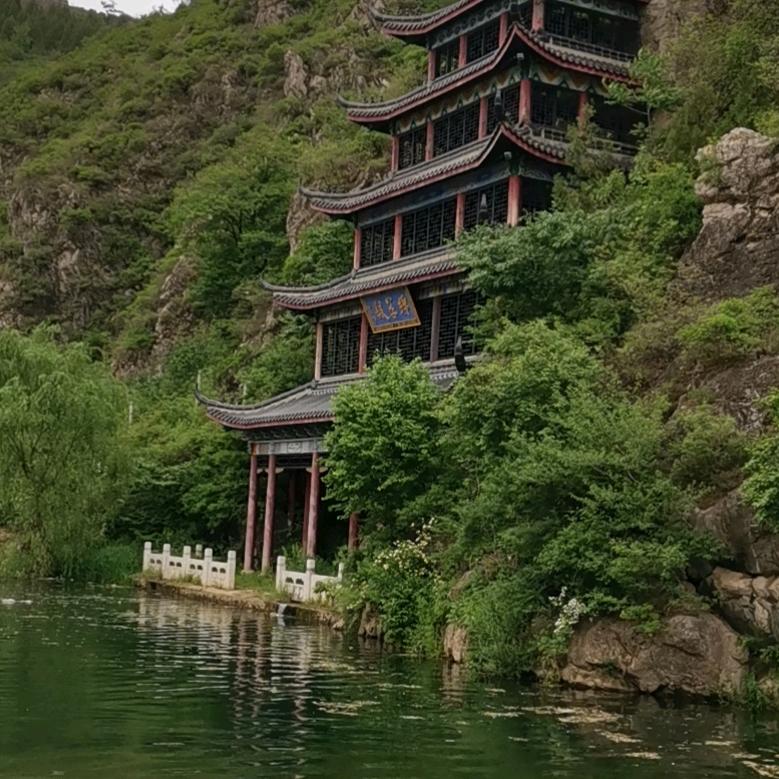 光头强哥