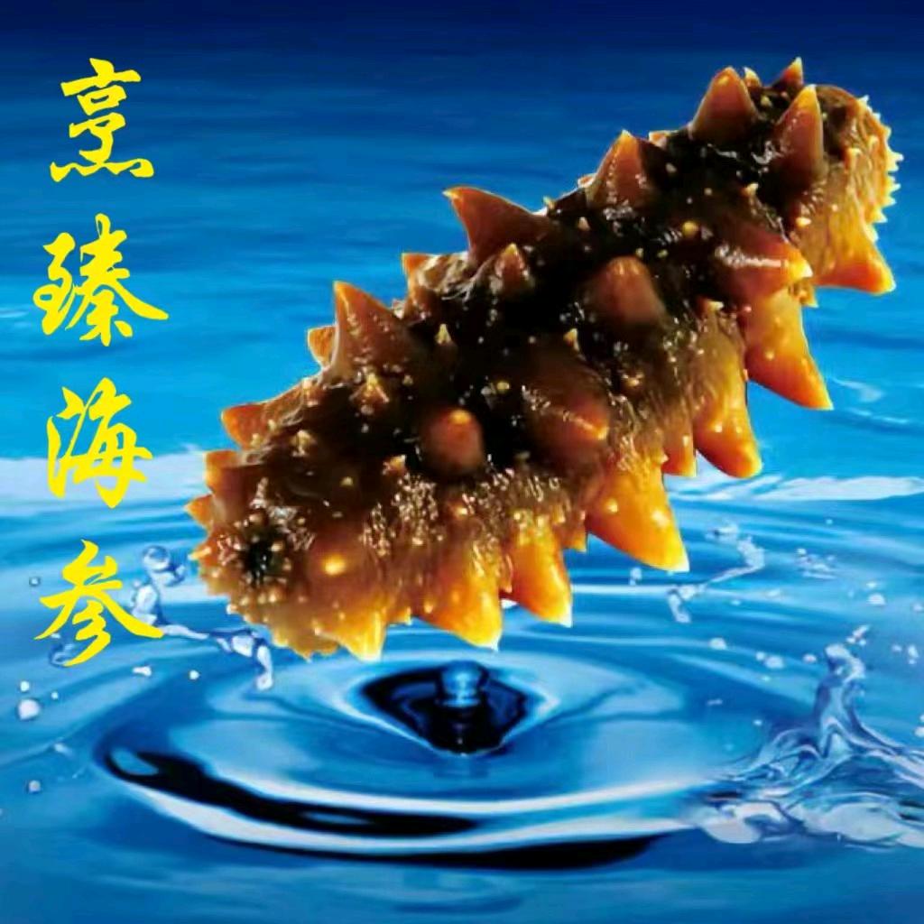 胶东海参哥
