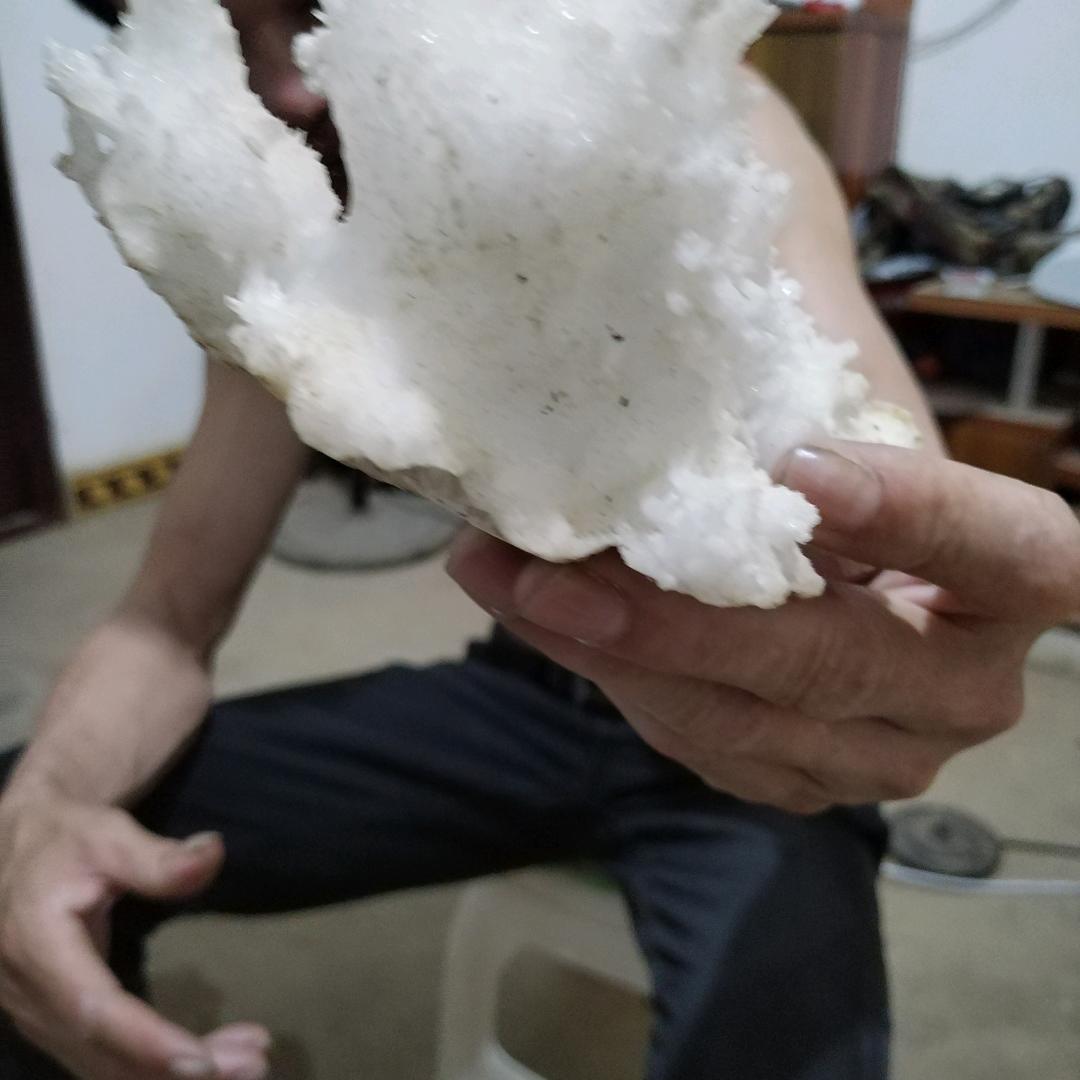 要几百斤的有