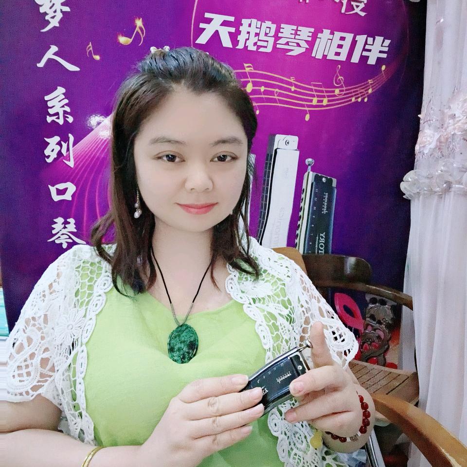 林灵（定制修理调音）口琴
