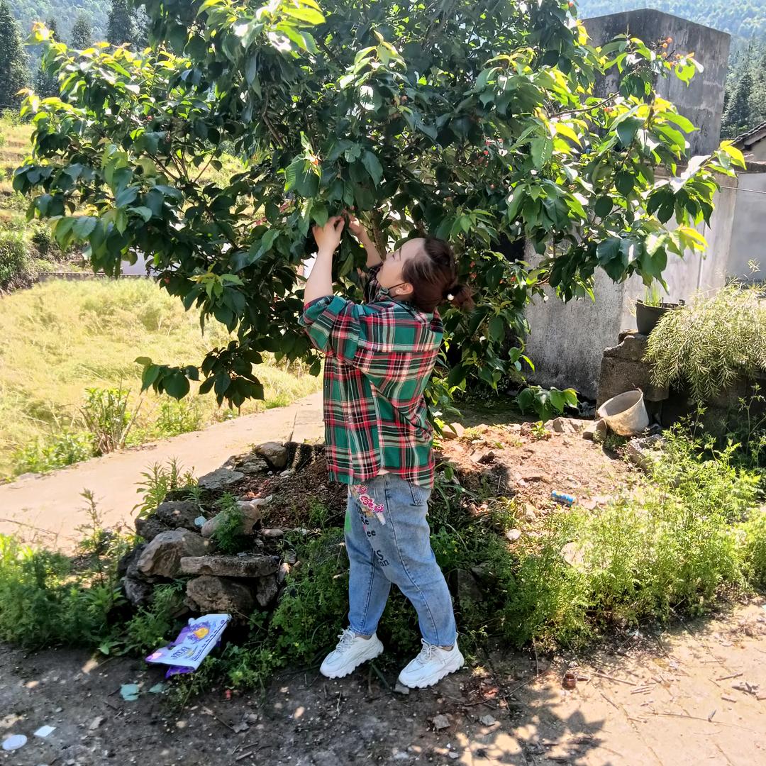 🍋柒月柠檬🍋
