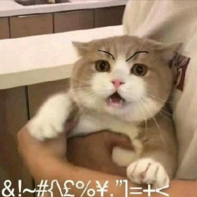 可喜可樂哦头像