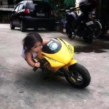 慧蛋