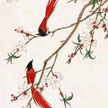 唐震秋