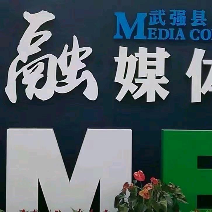 武强融媒