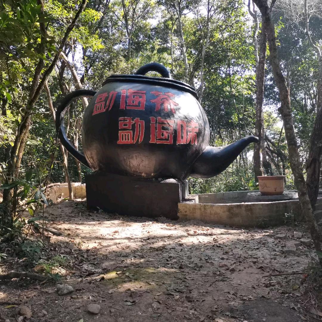 勐海古茶园绍德堂