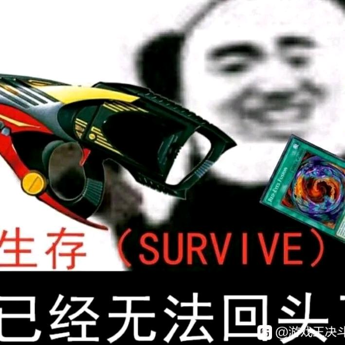 水星记上的猫