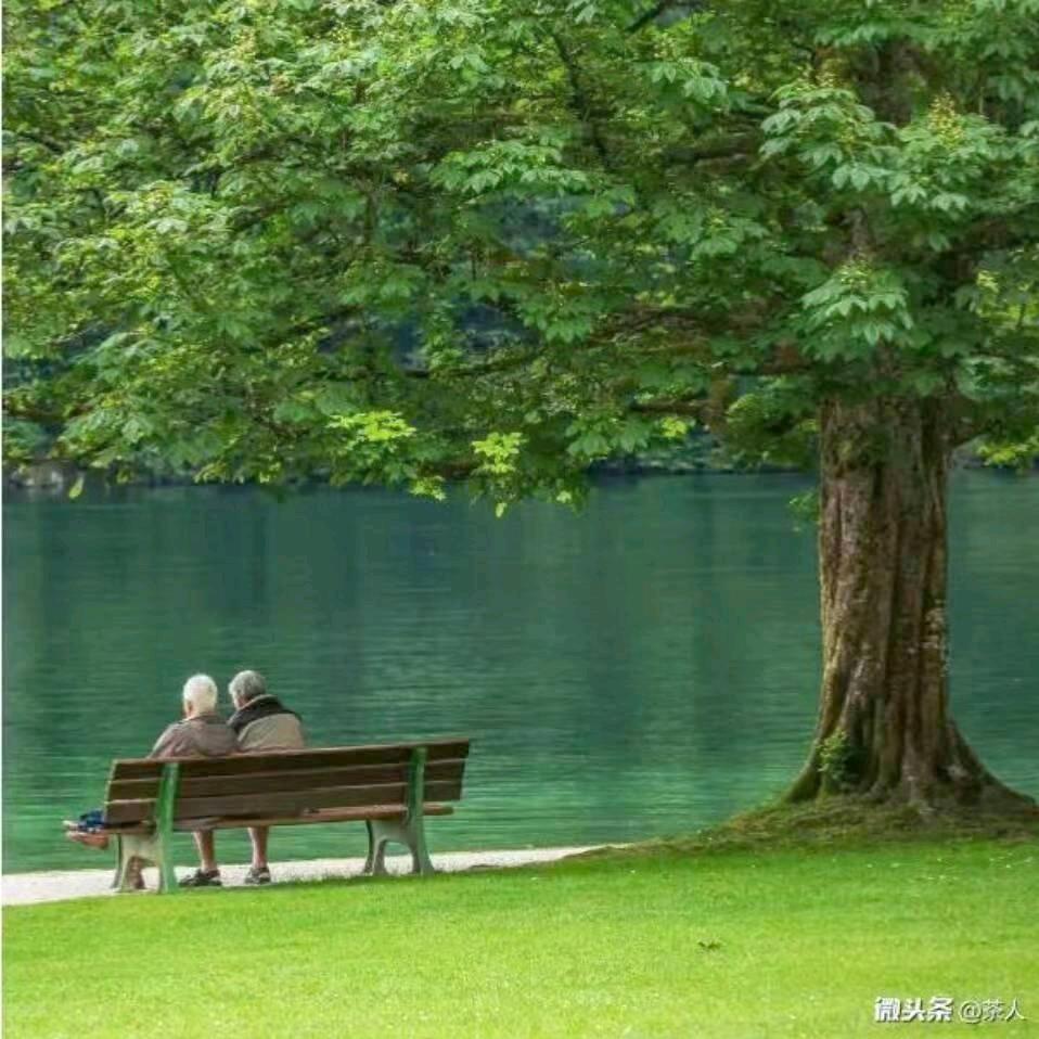 红尘