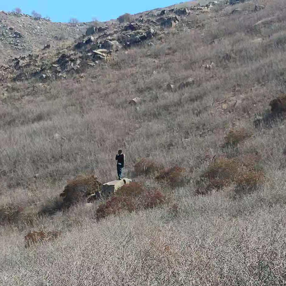 南雀