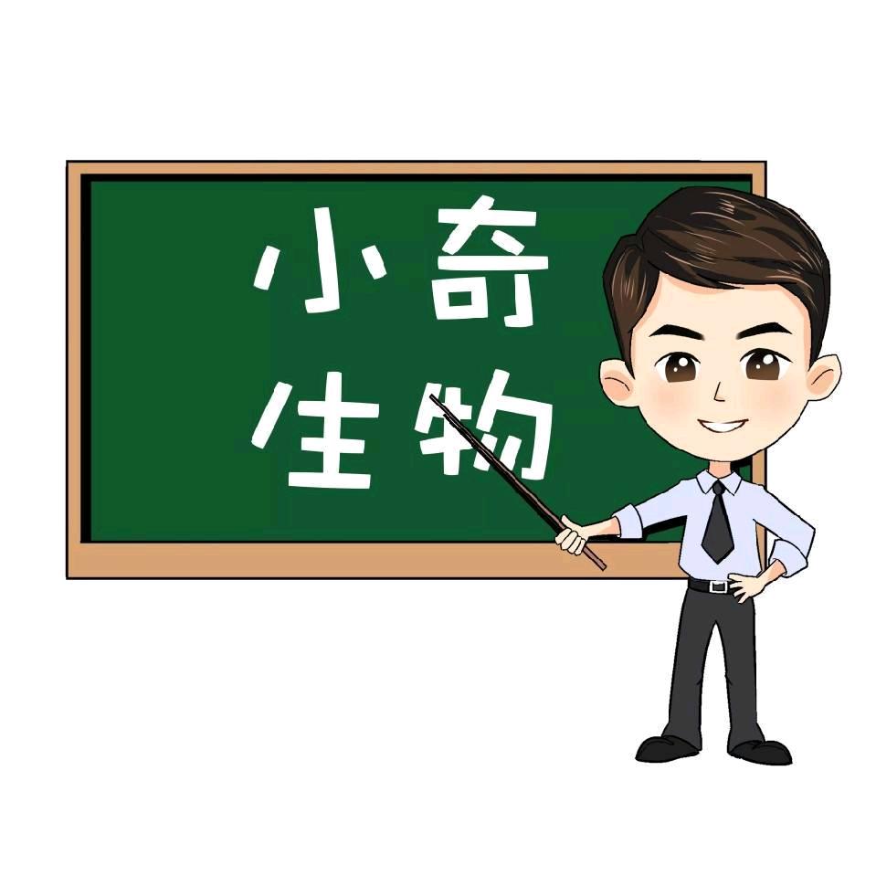 不说废话的小奇老师