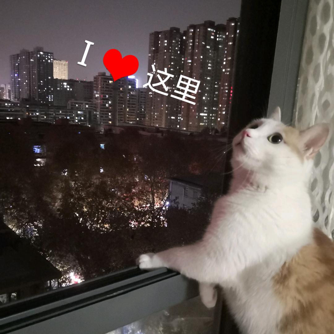 家有来福