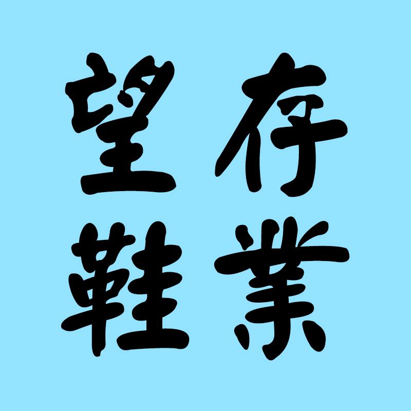 望存鞋业