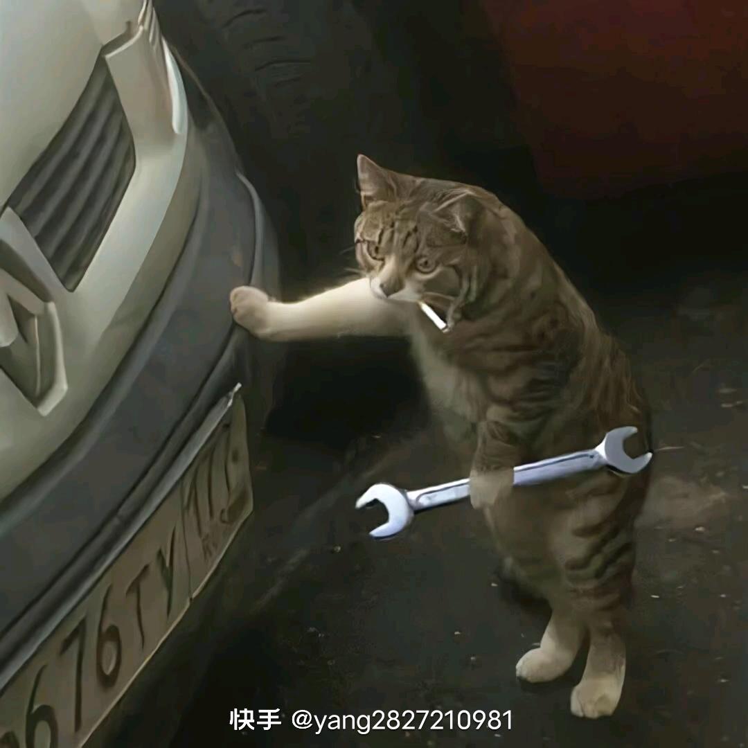 宇宙无敌霹雳号