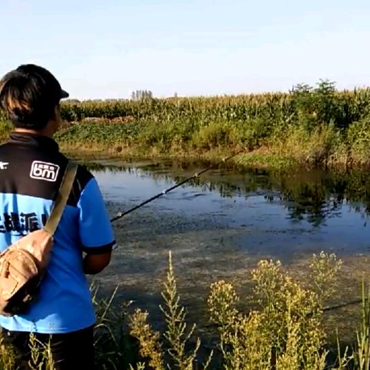 飞哥路亚钓鱼专注 雷蛙批发