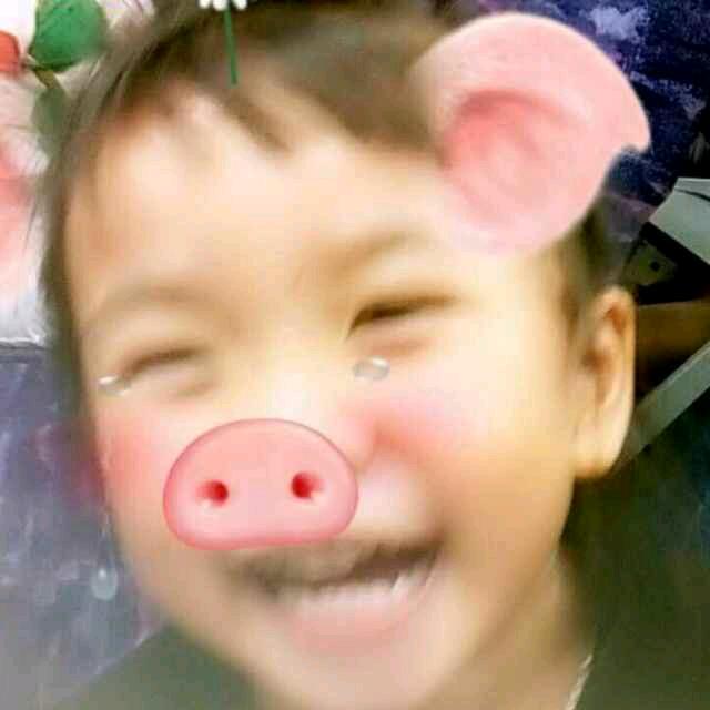 栎栎