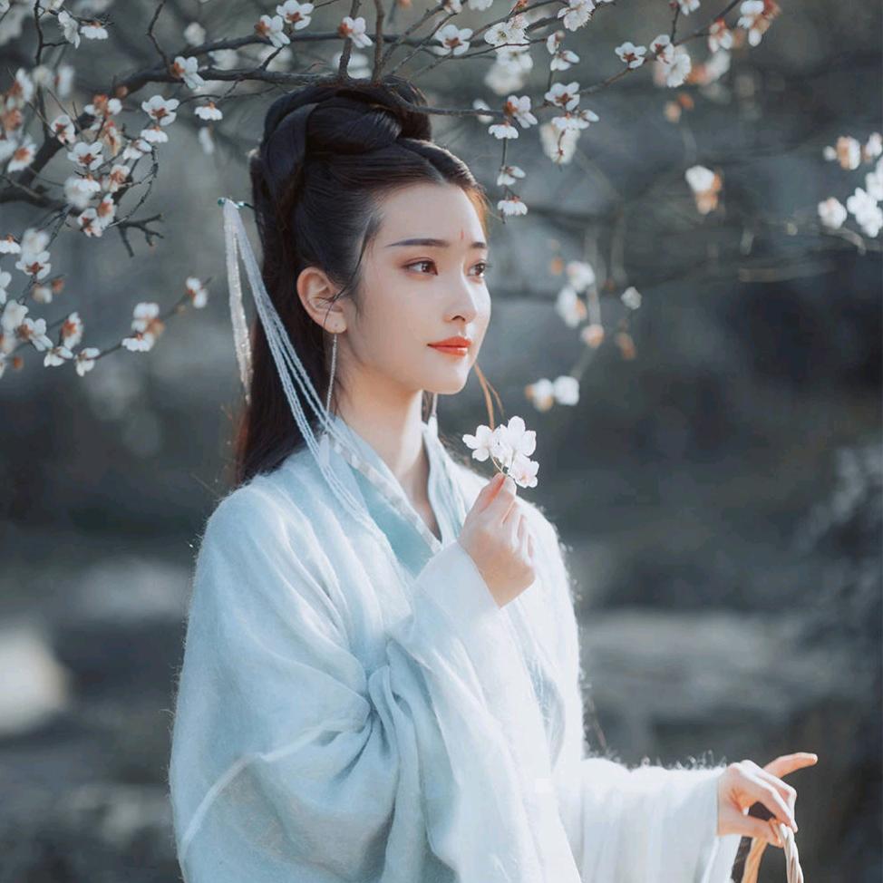 丰华文化66